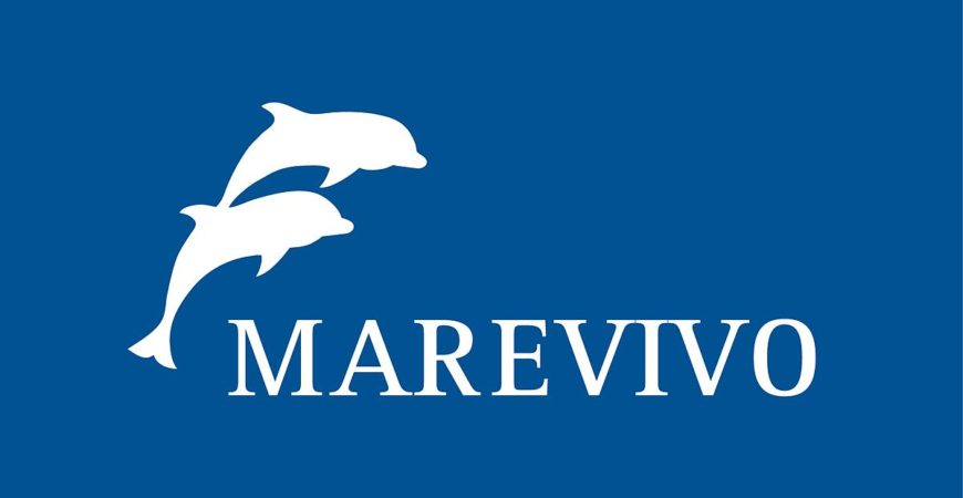 Marevivo - Lidi Balneari SUP Attrezzatura Sport Mare - Stabilimenti Mare Lago Mondo Balneare