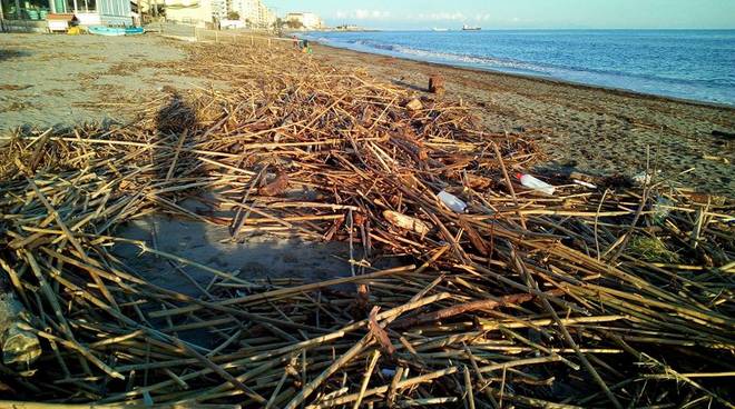 detriti sulla spiaggia - Lidi Balneari SUP Attrezzatura Sport Mare - Stabilimenti Mare Lago Mondo Balneare